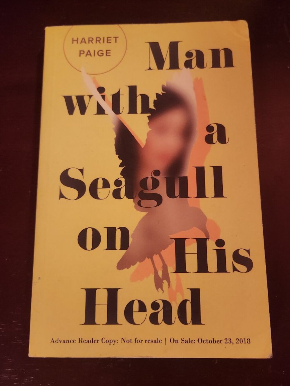 Man with a Seagull on His Head by Harriet Paige
